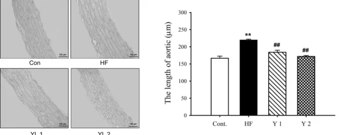 Fig. 5. Effects of yacon leaf extracts on aorta morphology. Values were expressed as mean±SE (n=8)