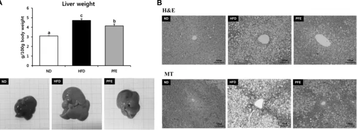 Fig. 3. Effect of Perilla frutescens Britton var. acuta  Kudo ethanol extract (PFE) on liver weight and hepatic morphology in C57BL/6J  mice fed high-fat diet