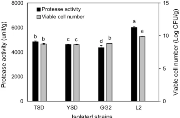 Fig. 2. Protease activity and viable cell number of soybeans with  anchovy fermented using isolated strains