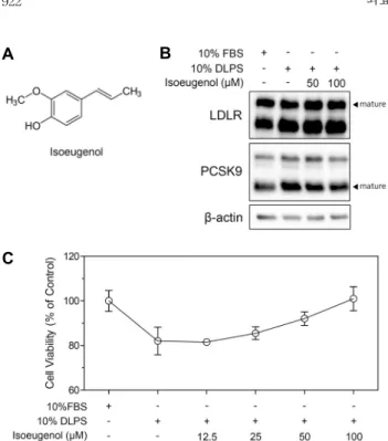 Fig. 1. Chemical structure of isoeugenol (A). LDLR, PCSK9,  and  β-actin proteins expression regulated by isoeugenol (B)