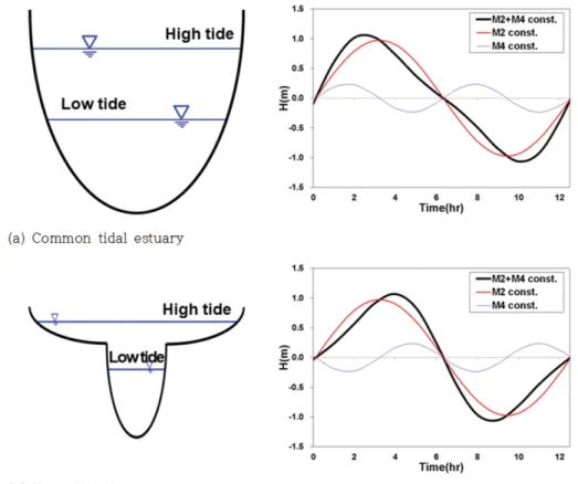 Fig. 3. Propagation of tidal wave and tidal asymmetry.