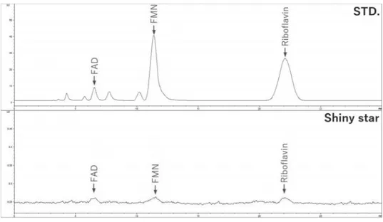 Fig. 2. HPLC chromatograms of  vitamin B 2  standard and ‘Shiny star’ sample. 