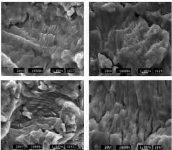 Fig. 7 da/dN- △ K of all specimens for 9% Ni steel 파단면의 형상 3.2 Fig. 8, 9 R=0.1, 0.5 R=0.1, 0.5 Topcon MS-500 