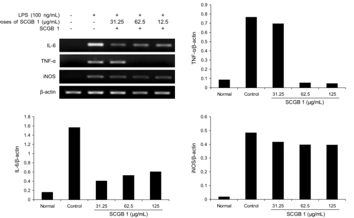 Fig. 3. Effect of the extract of cheonggukjang fermented with B. amyloliquefaciens SCGB 1 on the expression of iNOS, TNF-α,  and IL-6 mRNA in LPS-stimulated RAW 264.7 cells