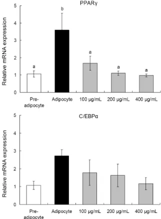Fig. 2. Effects of Aralia elata sprout hot-water extract on adipo- adipo-cyte differentiation and lipid accumulation in 3T3-L1 adipoadipo-cytes