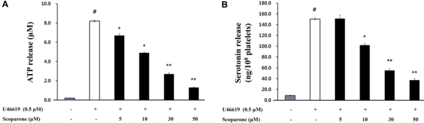 Fig. 4. Effects of scoparone on granule secretion. (A) Effects of scoparone on ATP release