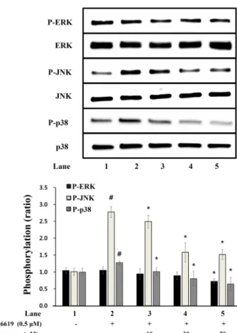 Fig. 6. Effects of scoparone on MAPKs phosphorylation. Wes- Wes-tern blotting was determined as described in “Materials and  Meth-ods” section