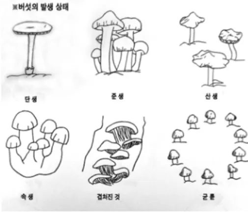그림 2-2-3. 버섯의 발생 상태.