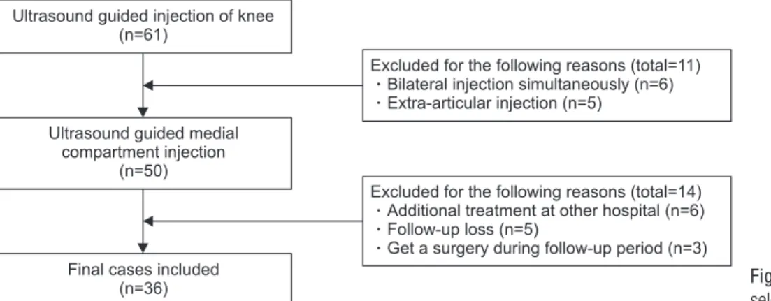 Figure 1. The flowchart shows patient  selection and exclusion criteria.