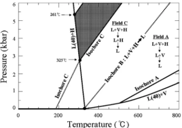 Fig. 8. Partial schematic diagram showing the rela- rela-tionship between the P-T trapping conditions and  the mode of homogenization of H2O-NaCl fluid  inclusions with 31 and 40 wt% (after Bodnar and  Vityk, 1994)