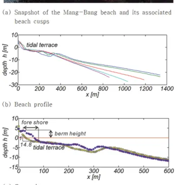 Fig. 4. Definition sketch of synchronous edge waves, which would sustain the beach cusps formed along the shore-line  [mod-ified from Cho (2019)].