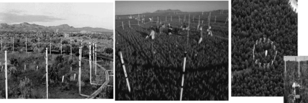 그림 2. 여러 가지 FACE 실험(좌: Nevada(USA), 중: 농경지, 우: Duke Forest(USA)