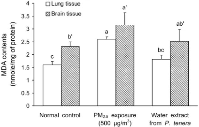 Fig. 3. Inhibitory effect of water extract from P. tenera against  lipid peroxidation in lung and brain tissues of PM 2.5 -exposed  mice