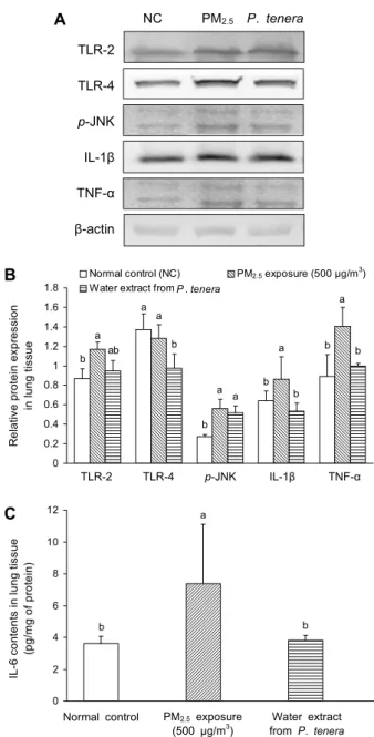 Fig. 4. Effect of water extract from P. tenera in lung tissues  of PM 2.5 -induced neuroinflammatory mice
