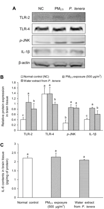 Fig. 5. Effect of water extract from P. tenera in brain tissues  of PM 2.5 -induced neuroinflammatory mice