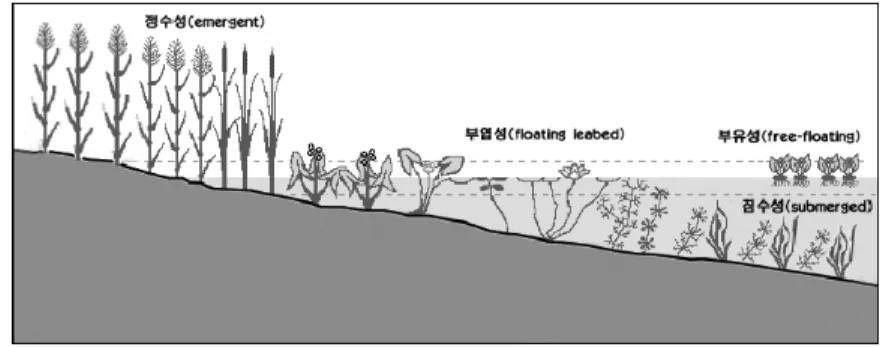 그림 1. 생육형에 따른 수생식물 분포.
