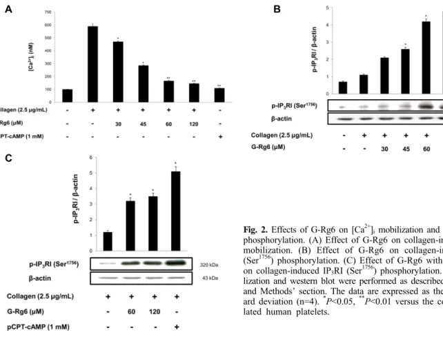 Fig. 2. Effects of G-Rg6 on [Ca 2+ ] i  mobilization and IP 3 RI (Ser 1756 )  phosphorylation