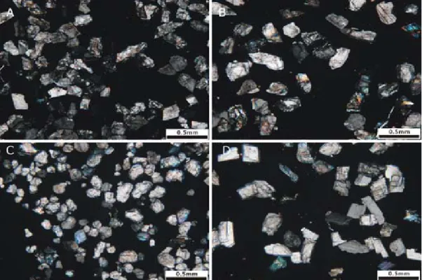 Fig. 8. Polarizing micrographs showing the particle shape and optical characters of crushed carbonates  particles