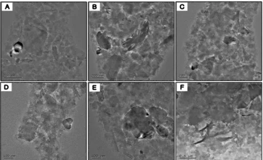 Fig. 11. TEM analysis of clay fraction of the inter tidal flat sediments sampled from Bokgil-ri, Chunggae.