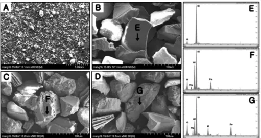 Fig. 3. SEM-EDX analysis of sand fraction of the inter tidal flat sediments sampled from Changmae-ri,  Hajae