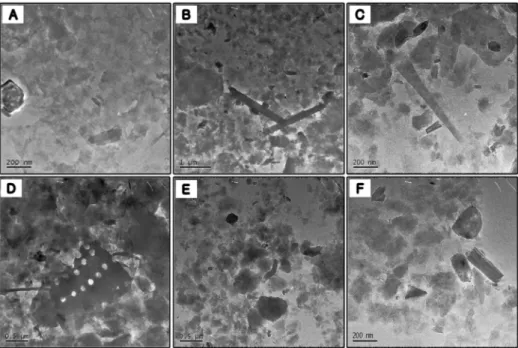 Fig. 9. TEM analysis of clay fraction of the inter tidal flat sediments sampled from  Changmae-ri, Hajae