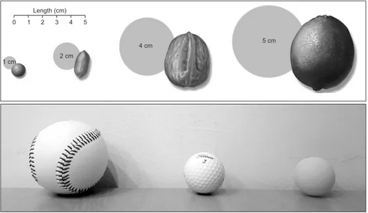 Table 1. Radiographic Findings of Soft-Tissue Masses and Suggested  Diagnoses