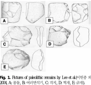Fig. 1. Pictures of paleolithic remains by Lee et al.( 이헌종 외, 2004, A:  몸돌, B: 여러면석기, C: 격지, D: 찍개, E: 긁개).