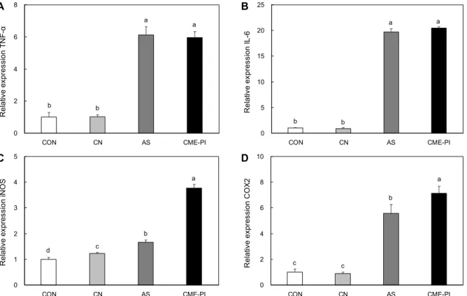 Fig. 3. TNF-α (A), IL-6 (B), iNOS (C), and COX2 (D) mRNA gene expression on CN, AS, and CME-PI by Raw 264.7 cell line