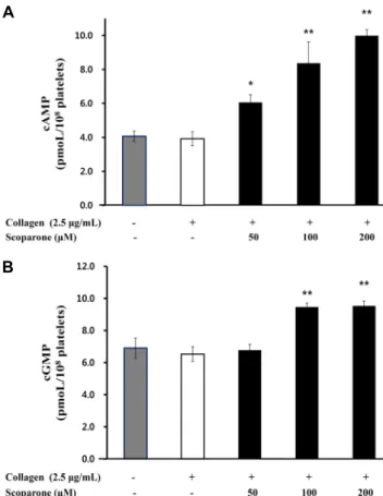Fig. 2. Effects of scoparone on cyclic nucleotides production. 