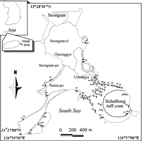 Fig. 2. Strikes and dips of tuff beds and lava flows in the Seongsan-Ilchulbong area.