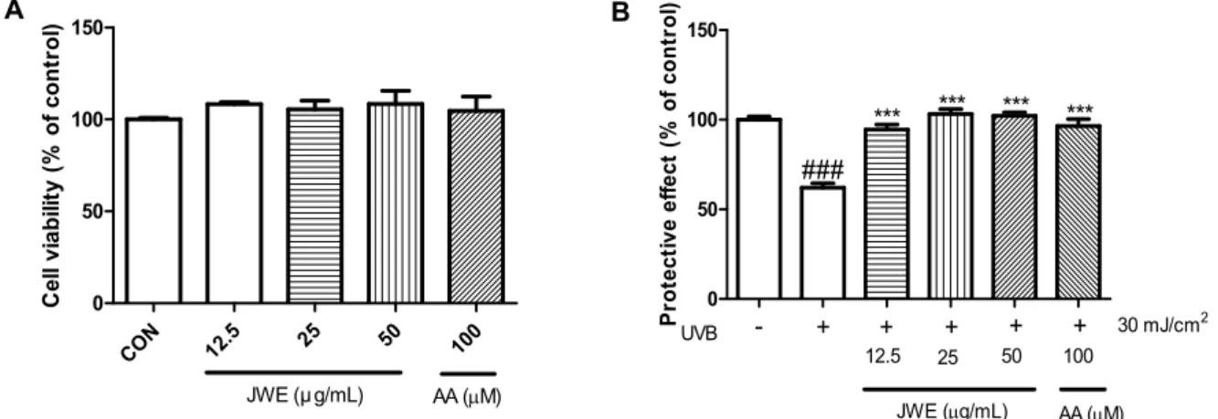 Fig. 1. Cytotoxicity (A) and protective effect (B) of the jujube water extract in Hs68 cells