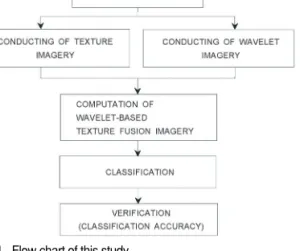 Fig. 2.  Remote sensing images for two case studies considered in this paper. (a) Quickbird imagery in urban area and (b) is geological structure area around Kumsung Mountain.