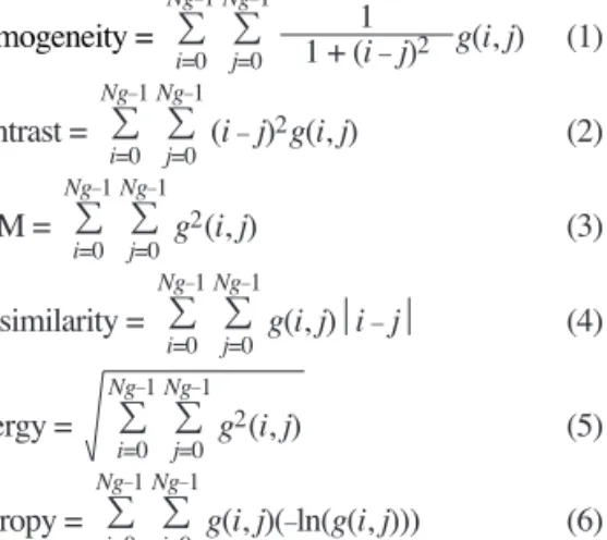 Fig. 3.  Wavelet based texture fusion image algorithm.