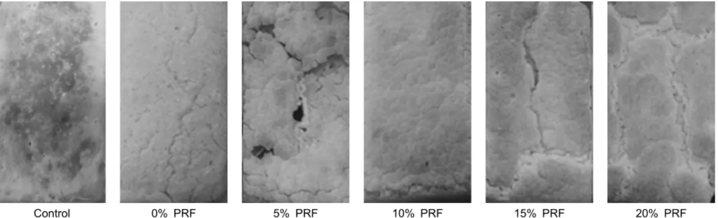 Table 4. Moisture content analysis results of gluten-free rice pan  bread made with various processed rice flour amount during 