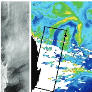 Fig. 5.  ERS-2 SAR image for 18 August 2002 at 02:11 UTC, track 375 showing (a) an eddy in the EKB visible due to natural filamentary slicks and (b) expressions of intensive fishery in the area marked by a white rectangle in (a)