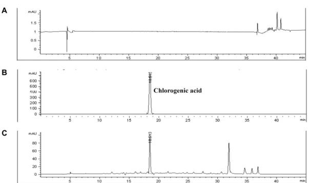 Fig. 2. HPLC chromatograms of (A) blank, (B) chlorogenic acid standard solution, and (C) blueberry yeast fermented powder (BYFP).