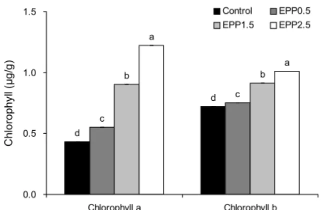 Fig. 2. Chlorophyll of Sulgidduk with E. prolifera.  All values  are mean±SD. Different letters (a-d) above the bars are  sig-nificantly different by Duncan’s multiple range test at P<0.05