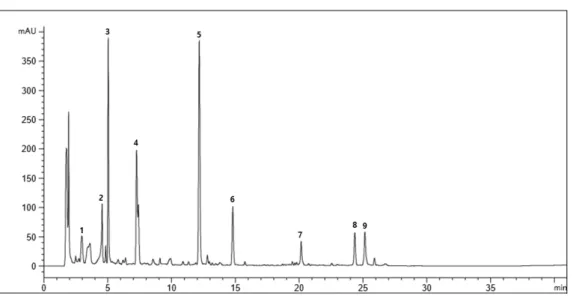 Fig. 1. Representative HPLC chromatogram of glucosinolates isolated from fresh Brussels sprouts
