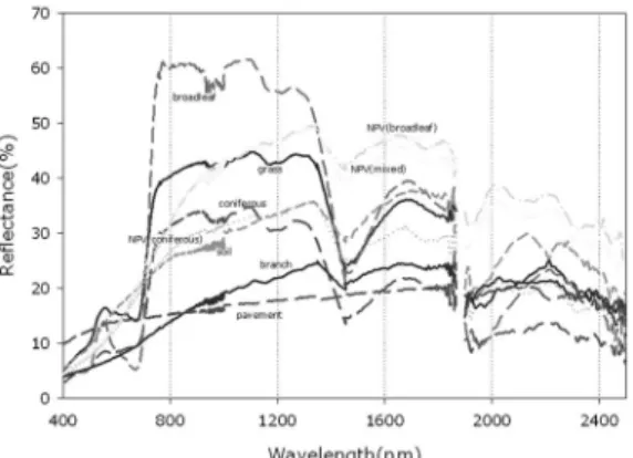 Figure 3.  Reflectance curve of target materials measured by the spectroradiometer (GER 3700).