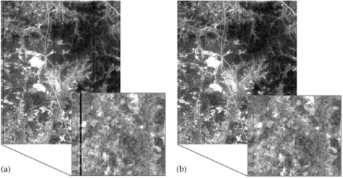 Figure 4.  Abnormal pixel correction before and after the band 10 of Hyperion image. (a) before; (b) after.