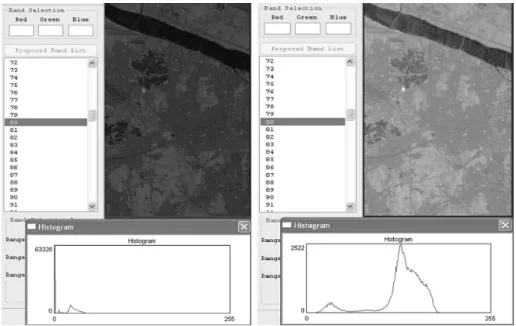 Fig. 2.  A comparison between linear scaling (left) and log scaling (right) on the same band.