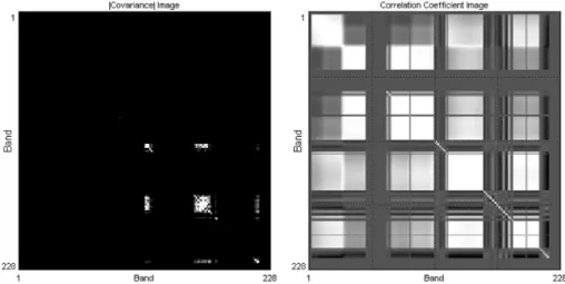 Fig. 3.  Images of absolute covariance (left - after a contrast enhancement) and correlation coefficient (right).