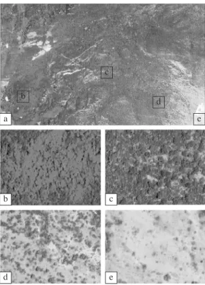 Fig. 2.  a. QuickBird satellite data of the study area,  b. Dense forest, c. Open forest, d