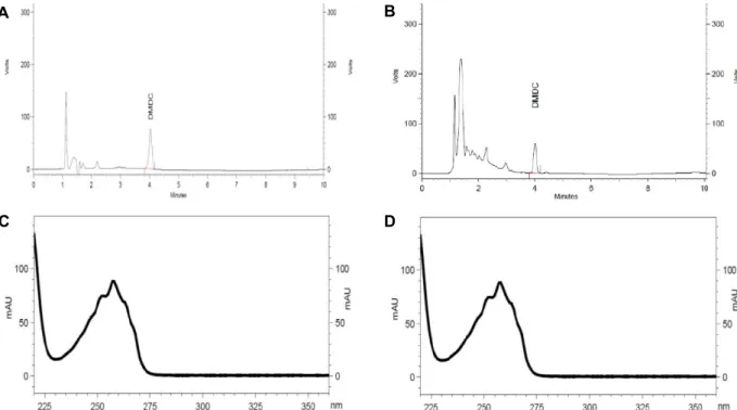 Fig. 2. Chromatogram of DMDC derivatization obtained using HPLC-PDA. A, Chromatogram of DMDC standard (100 μg/mL); 