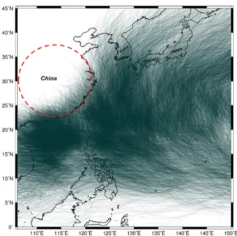 Fig. 4. Historical typhoon tracks.