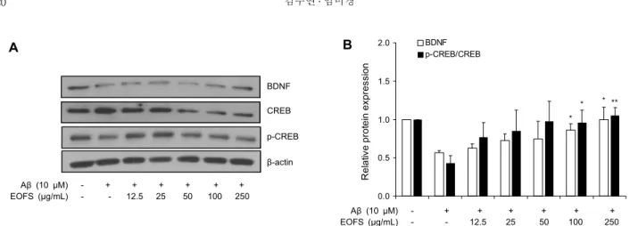 Fig. 6. Effect of EOFS on BDNF and CREB expressions in Aβ-induced SH-SY5Y cell. SH-SY5Y cells (7×10 5  cells/well in 60  mm dishes) were treated with various concentrations of EOFS (0, 12.5, 25, 50, 100 or 250 μg/mL)