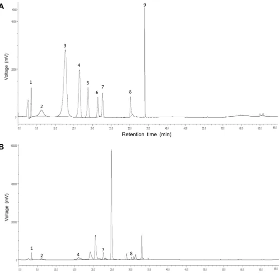 Fig. 1. The chromatograms of phenolic acids on standard mixture and four different rose cultivars