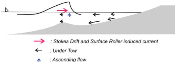 Fig. 1. Schematic sketch of the mechanisms underlying the forma- forma-tion of sand bar at the surf zone.