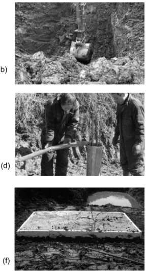 Fig. 2. Construction of MunGyung superconducting gravimeter SG pillar and platform. (a) SG site before construction, (b)~(d) construction of pillar(5 m) which is connected to the basement rock and (e)~(f) construction of SG platform(1 m×