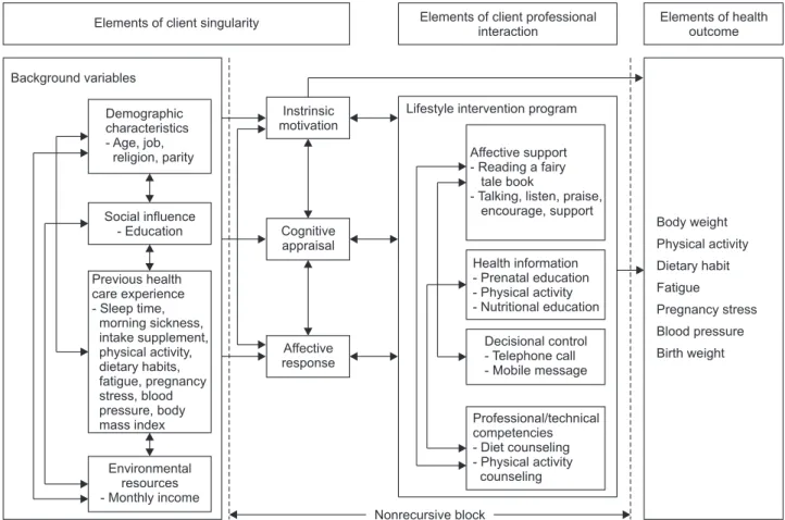 Figure 1. Conceptual framework based on Cox’s (1982) interaction model of client health behavior.